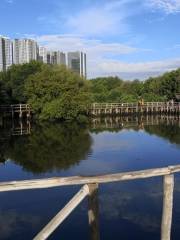 Taman Wisata Alam Mangrove Angke Kapuk