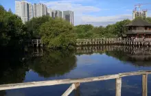 Taman Wisata Alam Mangrove Angke Kapuk