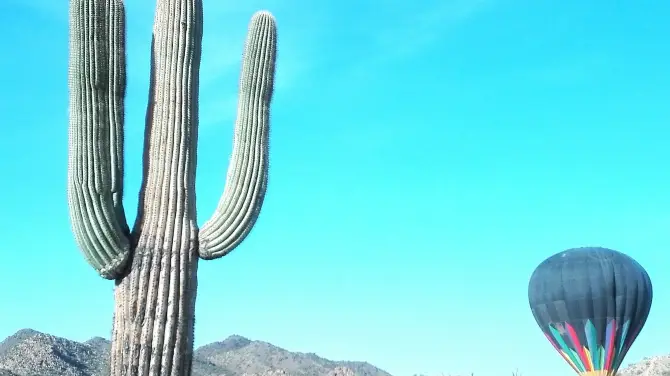 4_Sonoran Desert National Monument