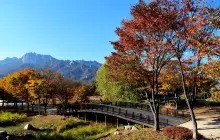 Seoul Iris Garden