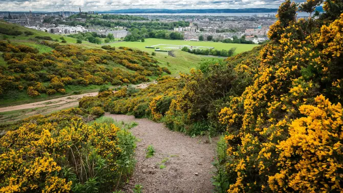 2_Arthur's Seat