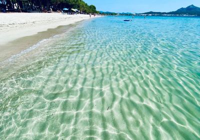 Playa de Muro Beach