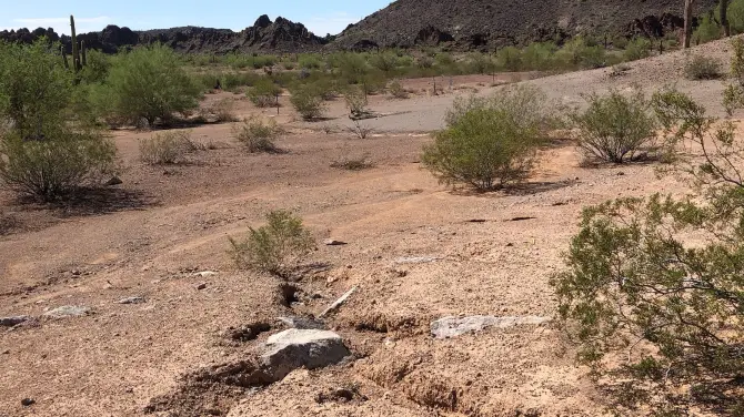 1_Sonoran Desert National Monument