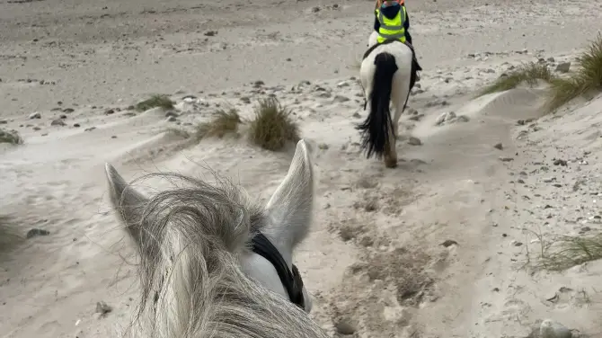 5_Calvey's Equestrian & Homestay Language Riding Centre