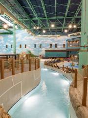 Great Wolf Lodge | Illinois