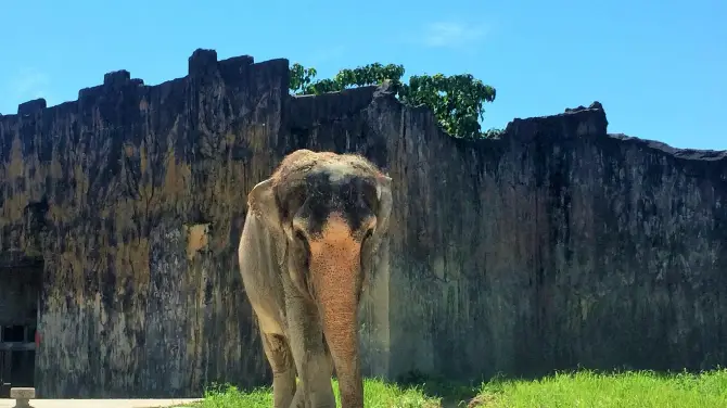 2_九十九島動植物園森きらら