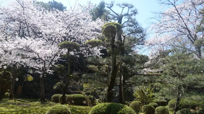 3_Yawata City Shokado Garden Art Museum