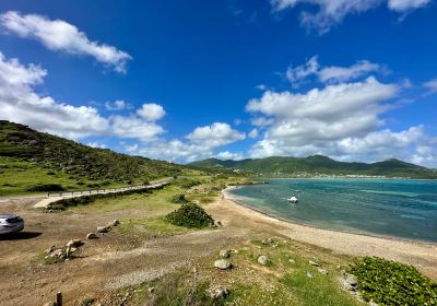 聖馬丁島（法屬）