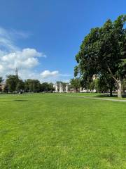 New Haven Green