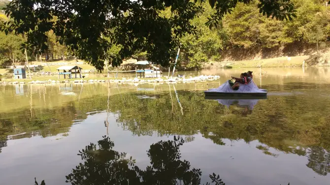 1_Parque Getúlio Vargas (Parque dos Macaquinhos)