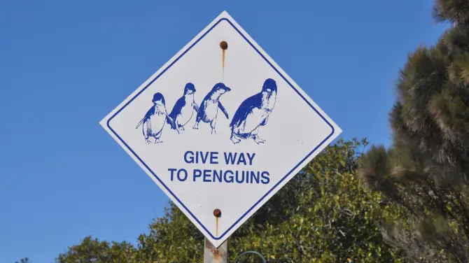 1_Penguin Centre