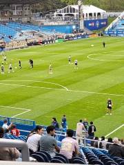 Stade Saputo