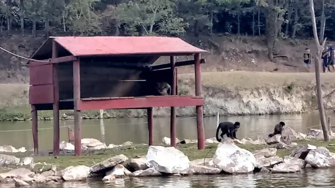 4_Parque Getúlio Vargas (Parque dos Macaquinhos)