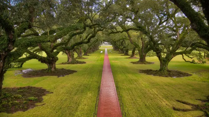 3_Oak Alley Plantation