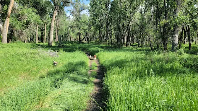 Sundance Lodge Recreation Area