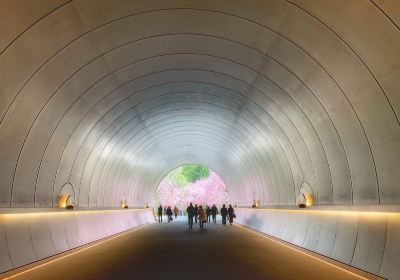 Miho Museum