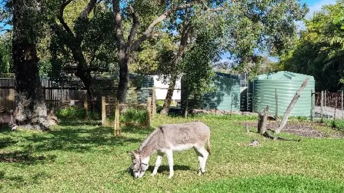 5_Caversham Wildlife Park