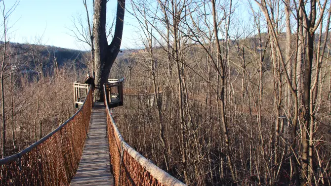 3_Treetop Skywalk at Anakeesta