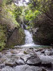 Lake Face Creek Falls