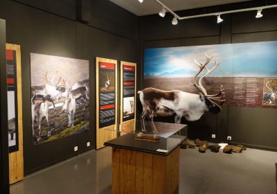 East Iceland Heritage Museum