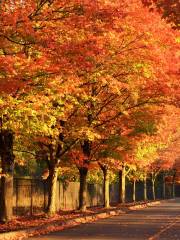 Gene Coulon Memorial Beach Park