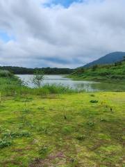 Tuyen Lam Lake