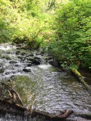 Flaming Geyser State Park