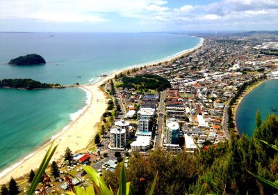 Tauranga