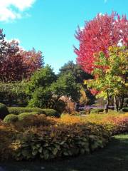 Jardin Japonais