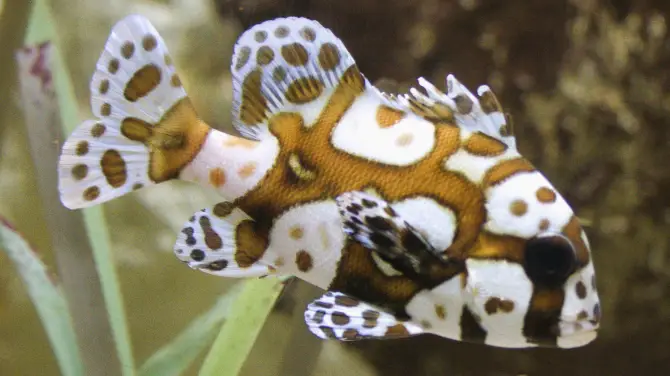 3_Lanzarote Aquarium