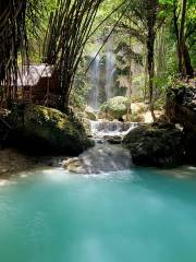 Tumalog Waterfalls