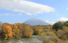 Hokkaido Lion Adventure