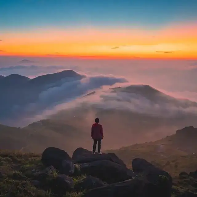 大東山雲海