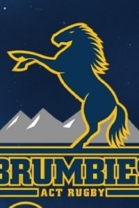 Travelling Brumby