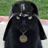 Darth Catzz