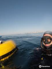 Freediving Gold Coast