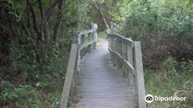 Nahoon Estuary Nature Reserve