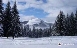 Avoriaz