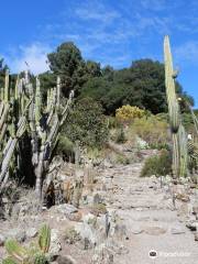 University of California Botanical Garden