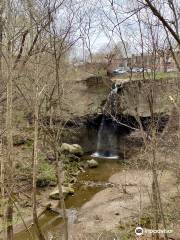 Williamsport Falls