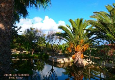 Porto Santo