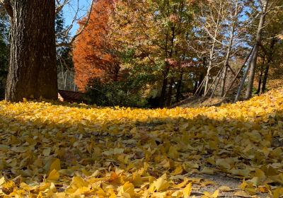 Gyeongsangnam-do Arboretum