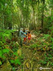 Gibbon Rehabilitation Project