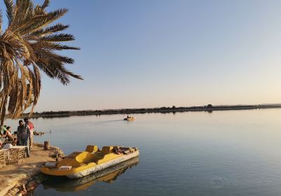 Siwa Oasis