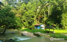 Ampang Recreational Forest