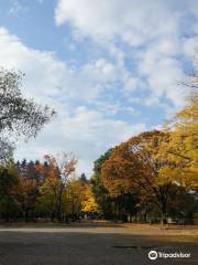 Sendai West Park