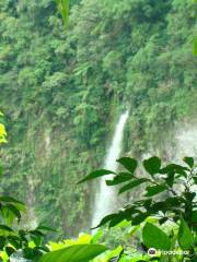 Mahagnao Volcano National Park