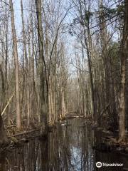 Morgan Arboretum