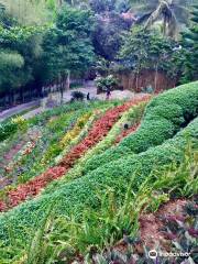 Terrazas de Flores Botanical Garden