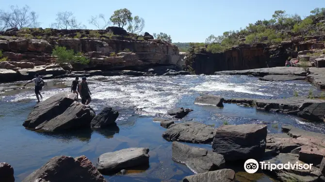 4_Mitchell River National Park